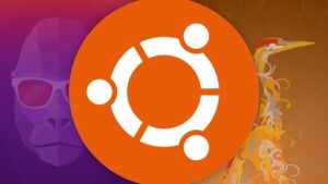 ubuntu